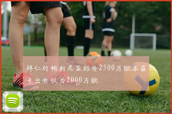 拜仁对帕利尼亚标价2500万欧本菲卡出价仅为2000万欧
