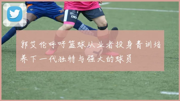 郭艾伦呼吁篮球从业者投身青训培养下一代独特与强大的球员